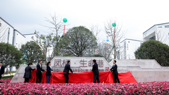 1576734622392793.png 22.png